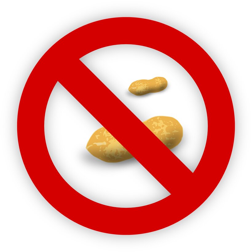 peanut-free icon
